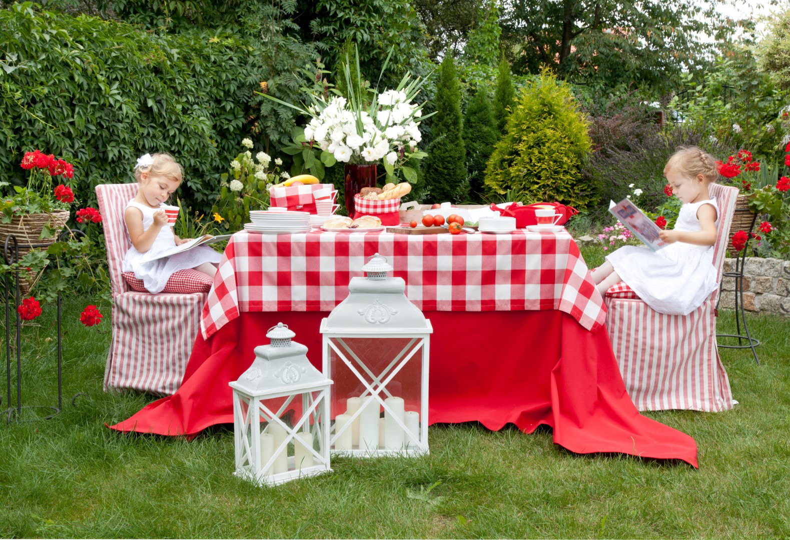 Garden Red & White Gingham Check
