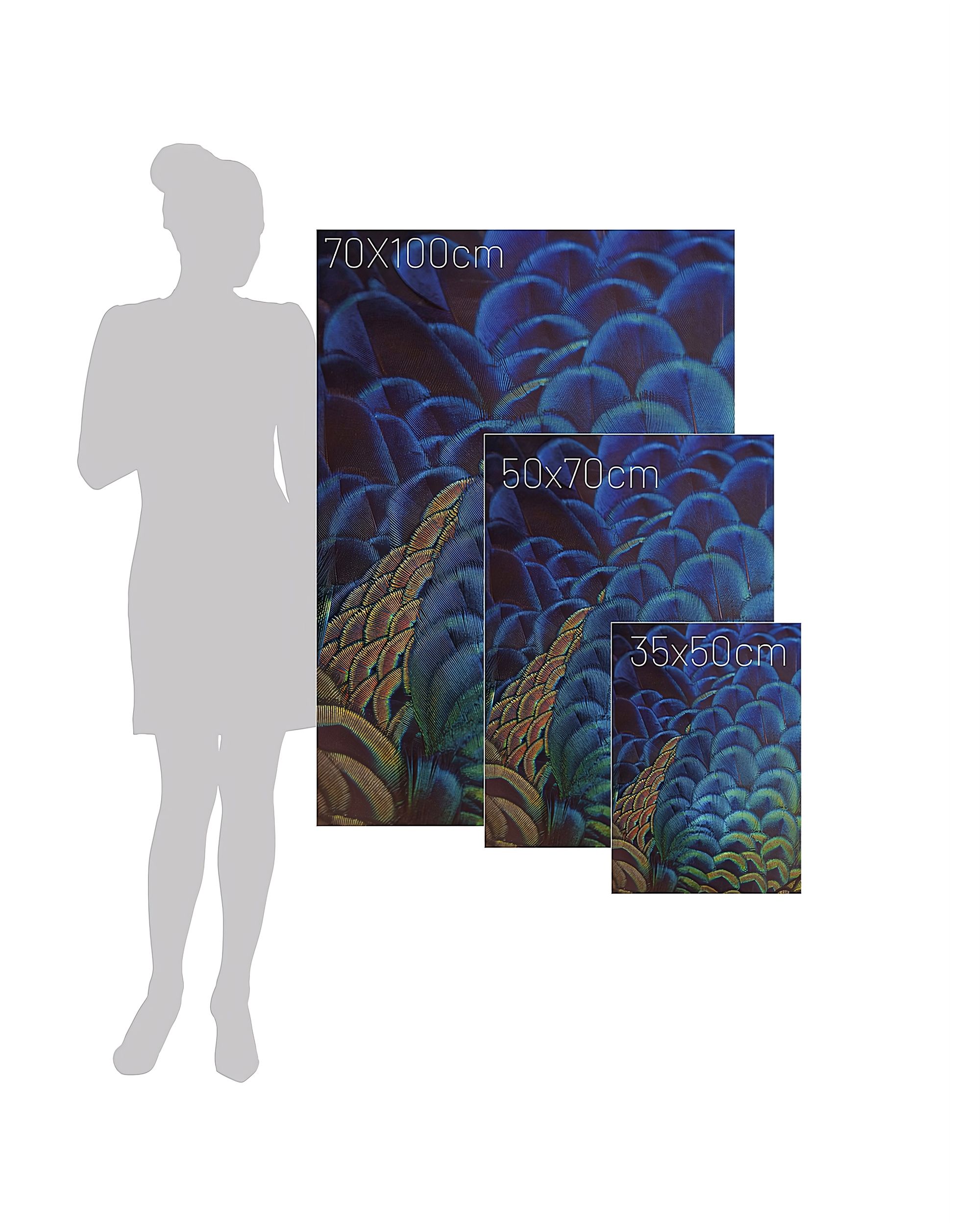 Multicolor Feathers canvas painting (hover)