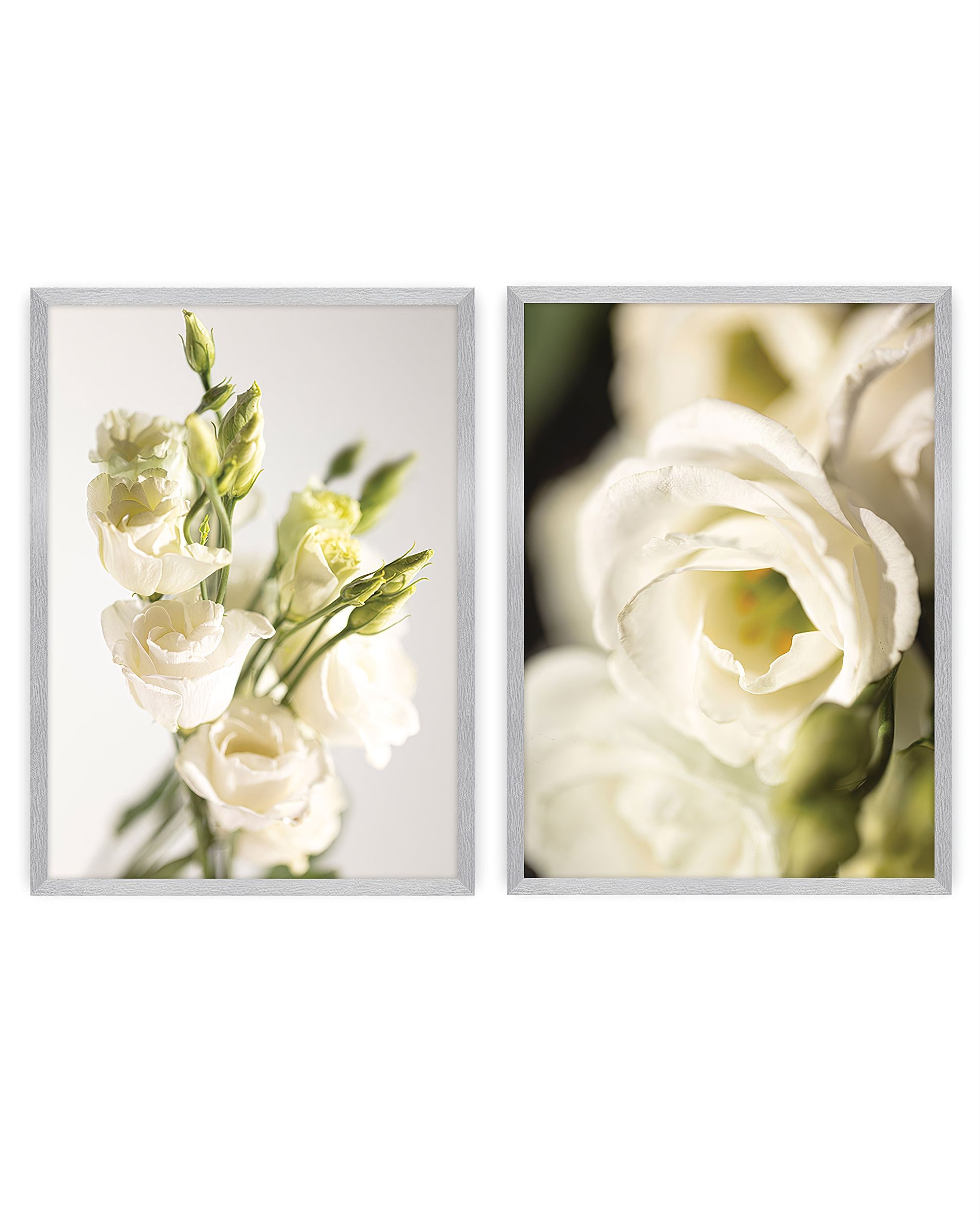 Flowers 2pc picture set