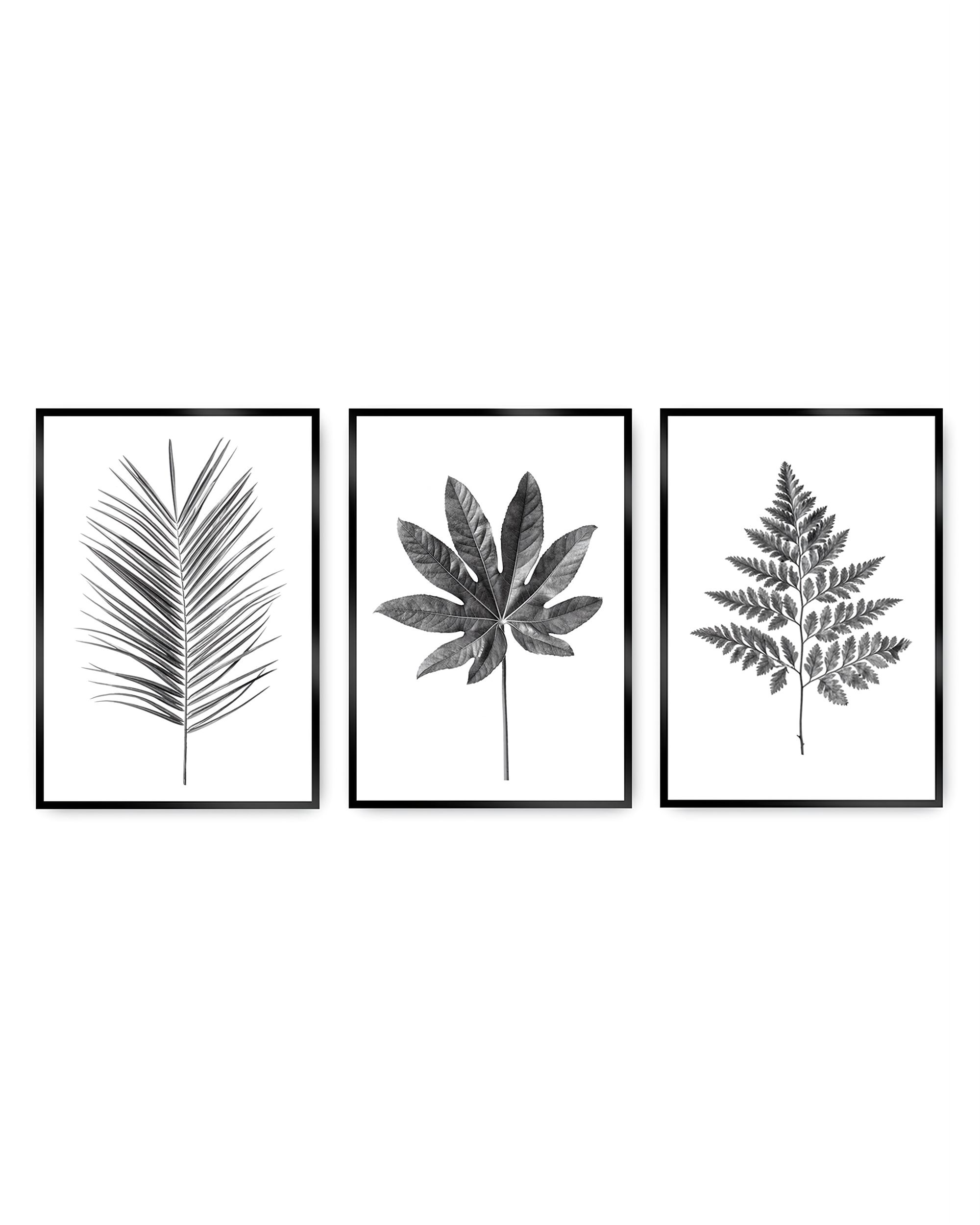 Tropical Grey 3pc picture set