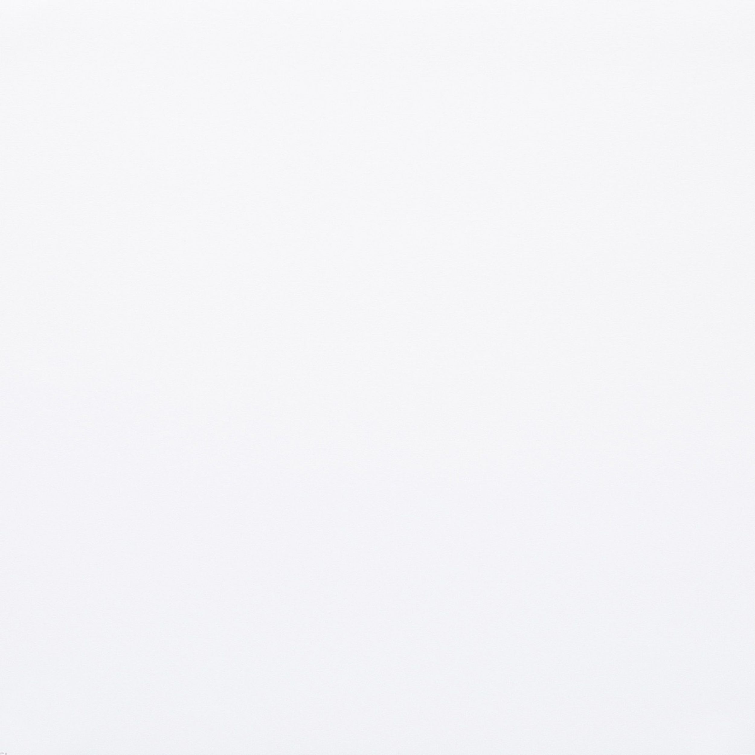 Blackout Silver – roller blinds 051 white