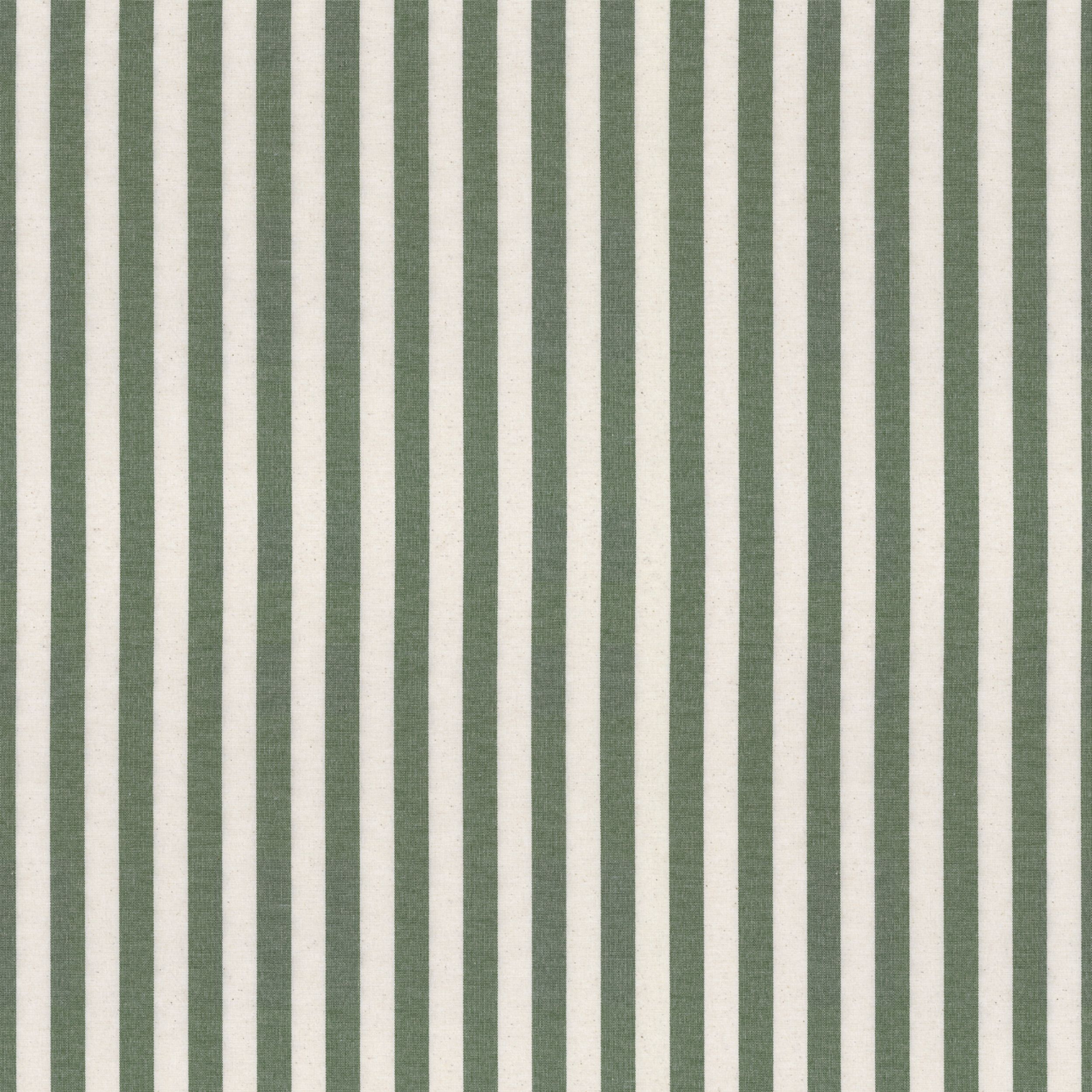Quadro 144-35 green and white stripes (1.5 cm)