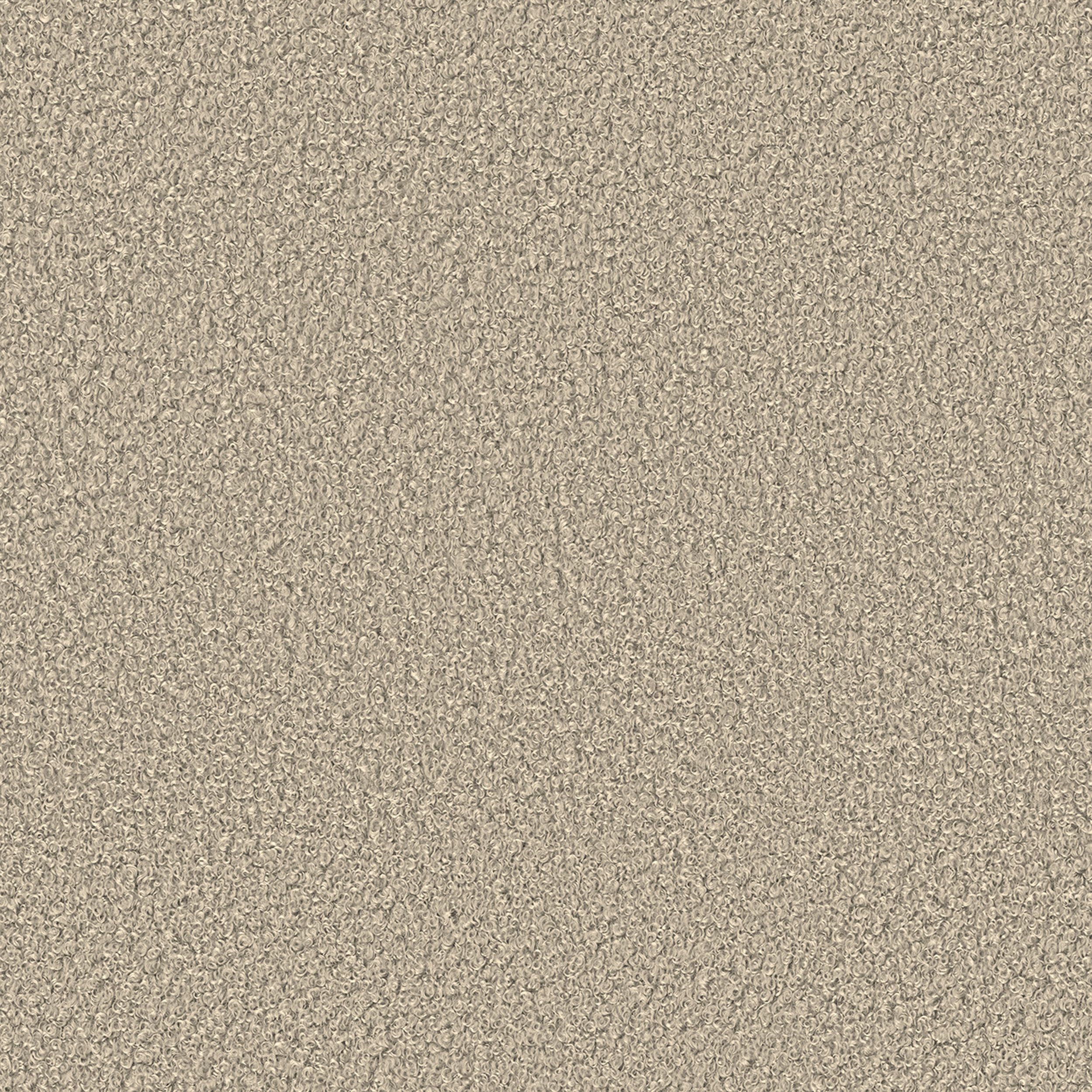 Boucle Teddy 702-81 light beige