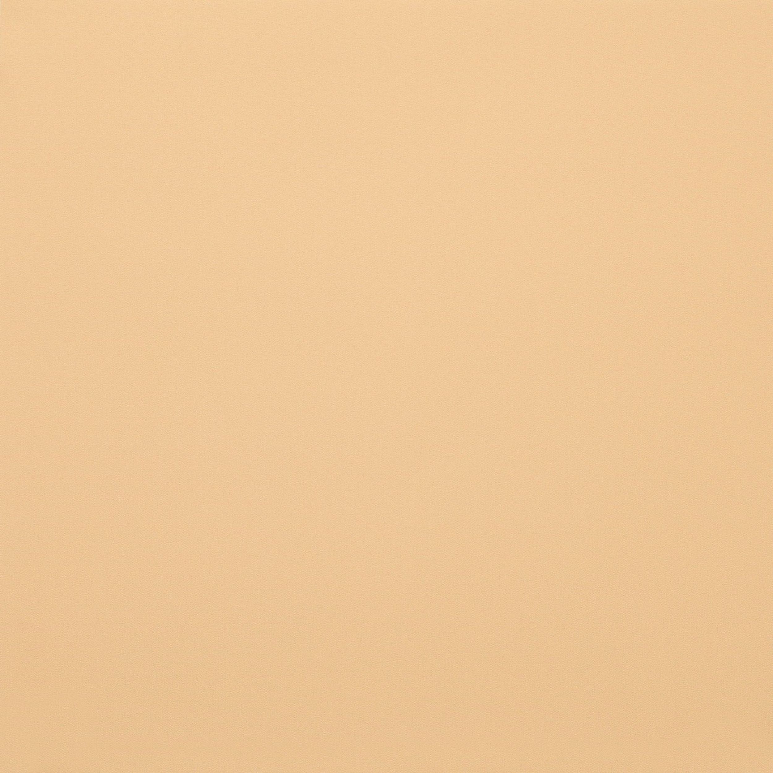 Blackout – roller blinds MGR053 beige