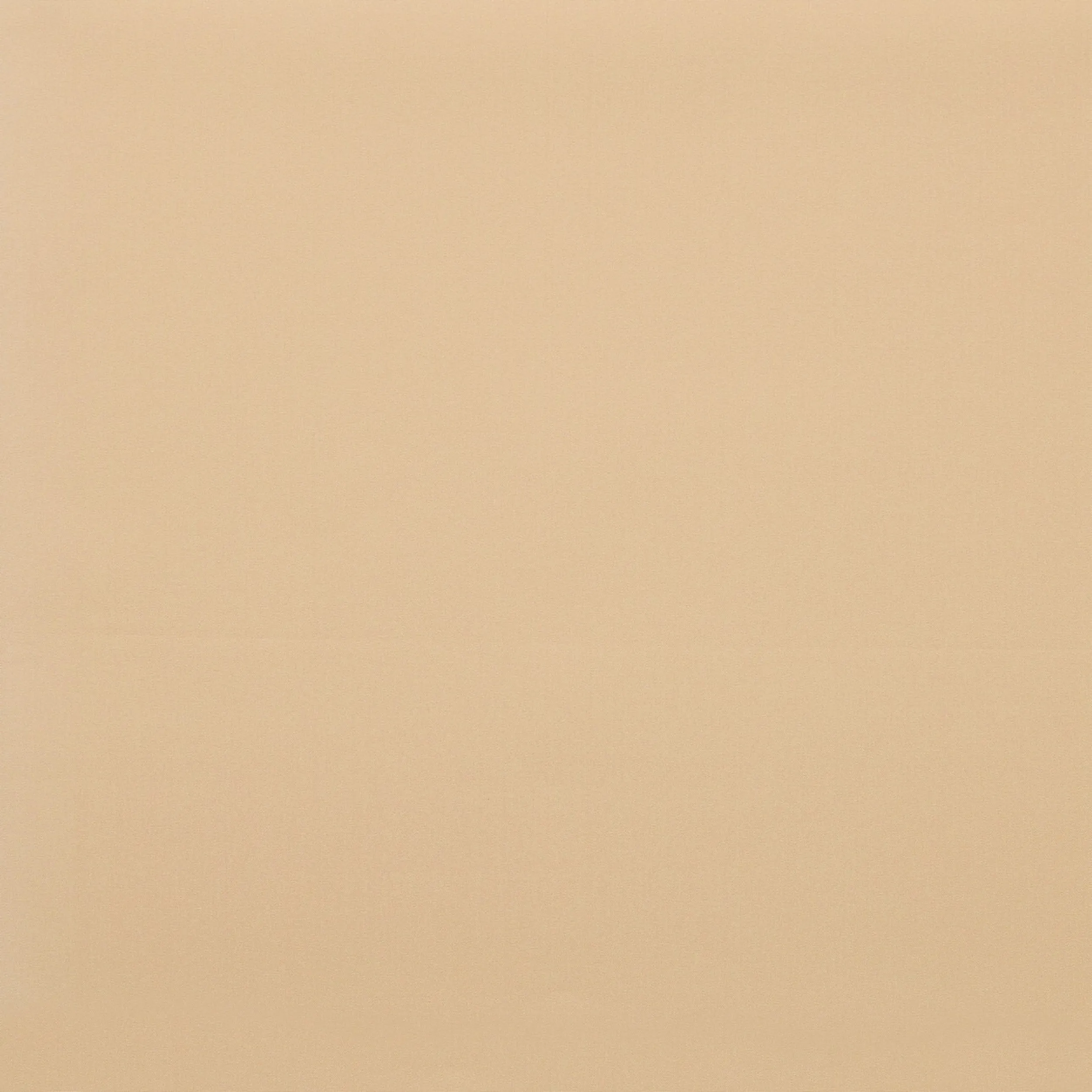 Blackout – roller blinds MGR204 beige
